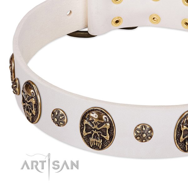 Durable traditional buckle on genuine leather dog collar for your dog