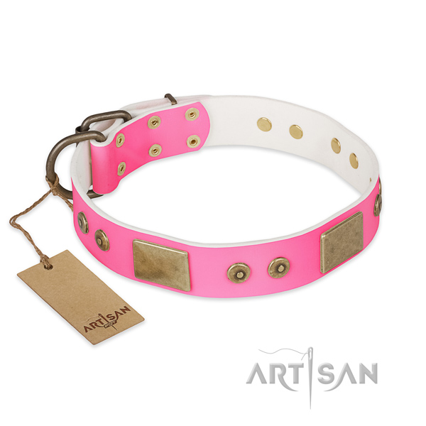 Adjustable natural genuine leather dog collar for basic training your pet