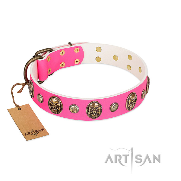 Durable embellishments on full grain genuine leather dog collar for your doggie