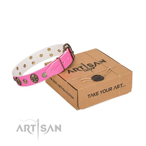 Corrosion proof studs on genuine leather dog collar for your doggie