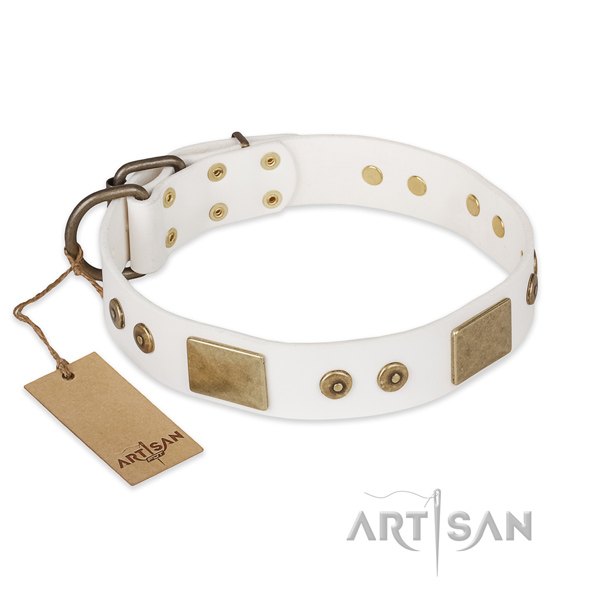 Impressive natural leather dog collar for comfy wearing