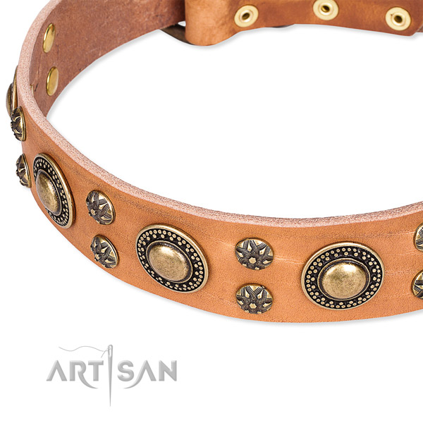 Easy wearing decorated dog collar of quality leather