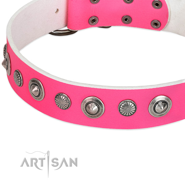 Genuine leather collar with rust-proof hardware for your handsome pet