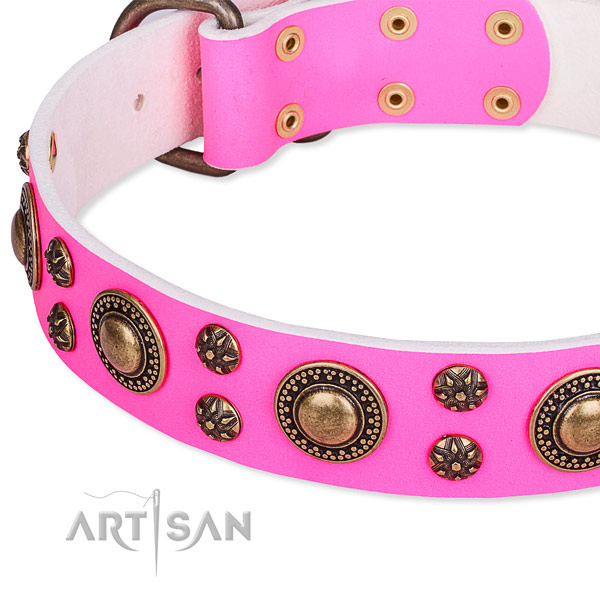 Basic training decorated dog collar of top notch leather
