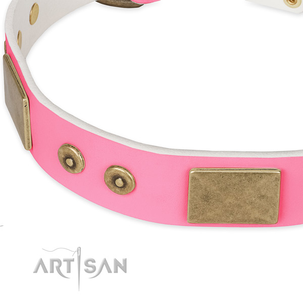 Leather dog collar with studs for everyday use