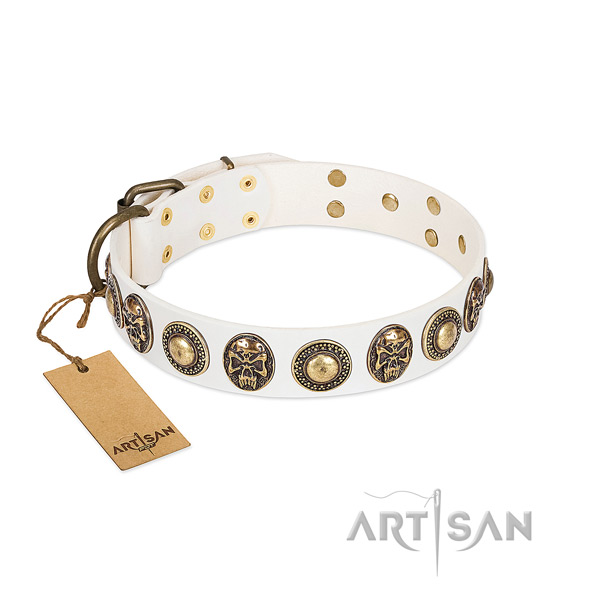 Easy adjustable genuine leather dog collar for walking your dog