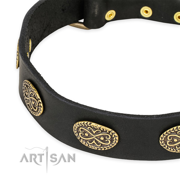 Impressive genuine leather collar for your stylish canine