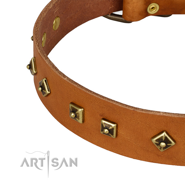 Adjustable genuine leather collar for your beautiful pet