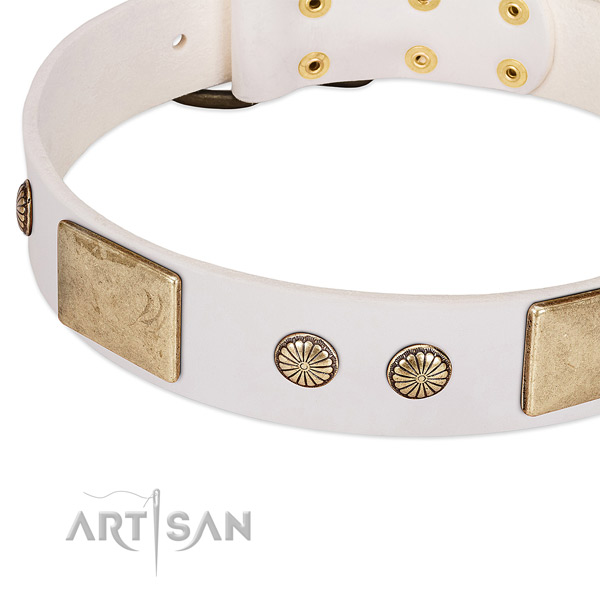 Rust-proof decorations on genuine leather dog collar for your doggie