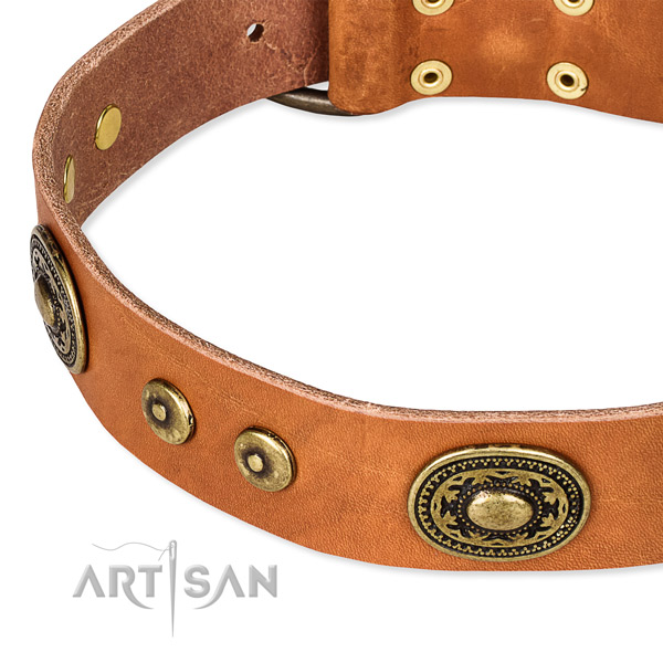 Leather dog collar made of gentle to touch material with studs