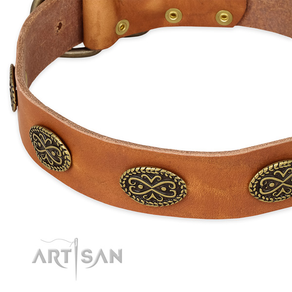 Easy wearing natural genuine leather collar for your attractive canine