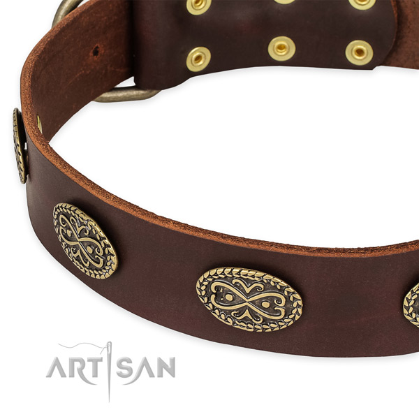 Unusual natural genuine leather collar for your stylish four-legged friend