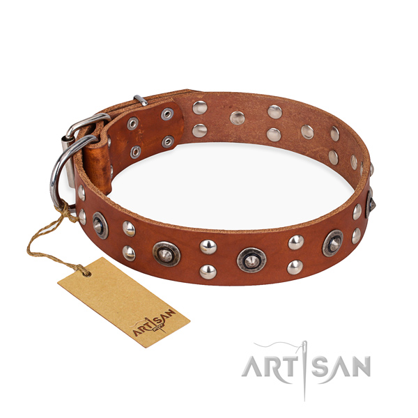 Handy use top notch dog collar with corrosion resistant fittings