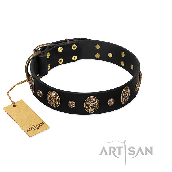 Unusual full grain leather collar for your four-legged friend