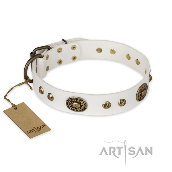 Awesome full grain natural leather dog collar for daily walking
