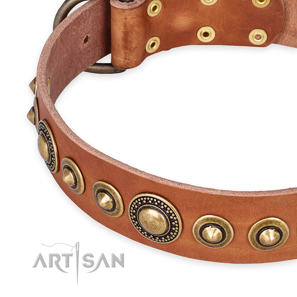 High quality leather dog collar crafted for your handsome doggie