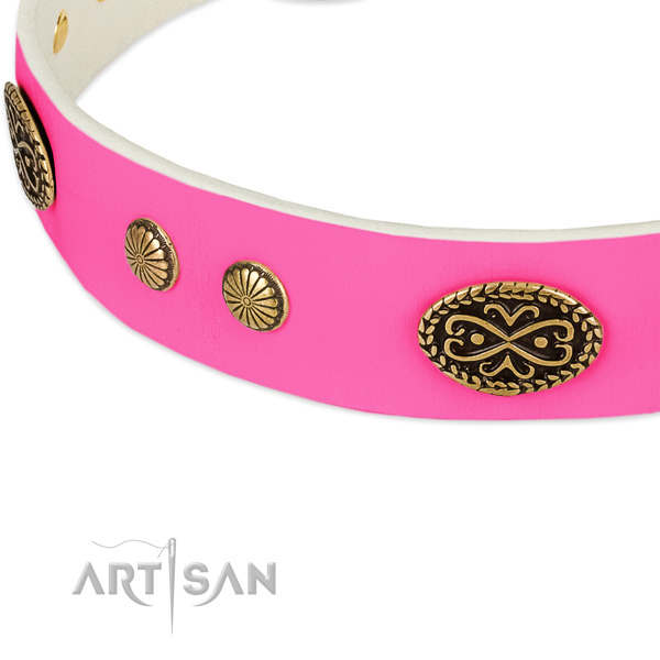 Reliable buckle on natural leather dog collar for your canine