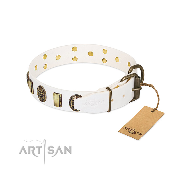 Durable fittings on full grain natural leather collar for everyday walking your pet