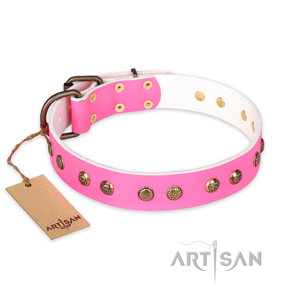 Embellished full grain genuine leather dog collar with durable fittings