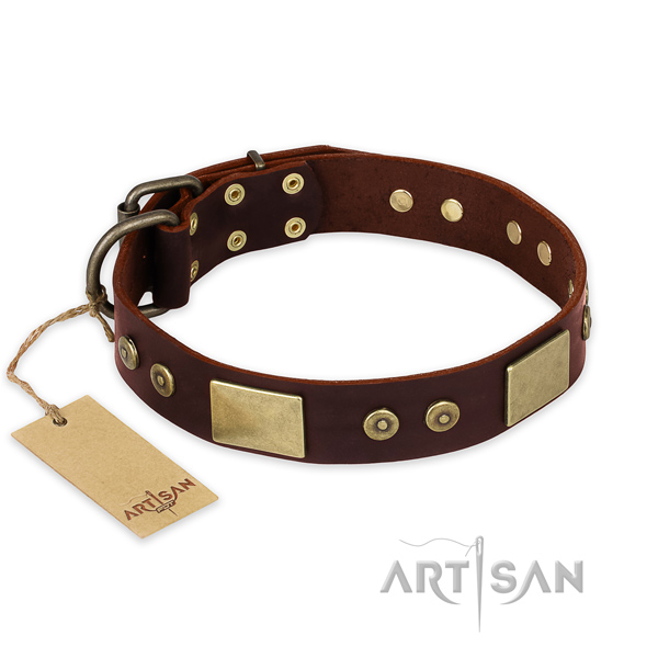 Impressive natural genuine leather dog collar for walking