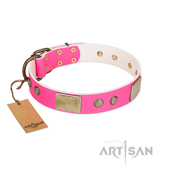 Adjustable full grain natural leather dog collar for walking your canine