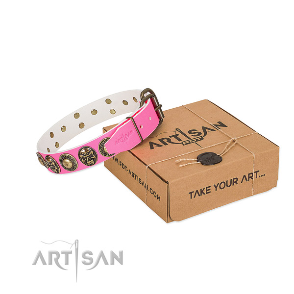 Corrosion proof decorations on dog collar for daily walking
