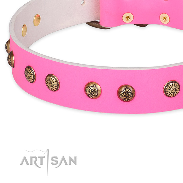 Full grain leather collar with corrosion proof hardware for your attractive canine