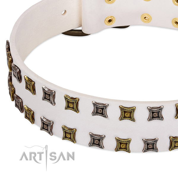 Natural leather dog collar with studs for your attractive pet