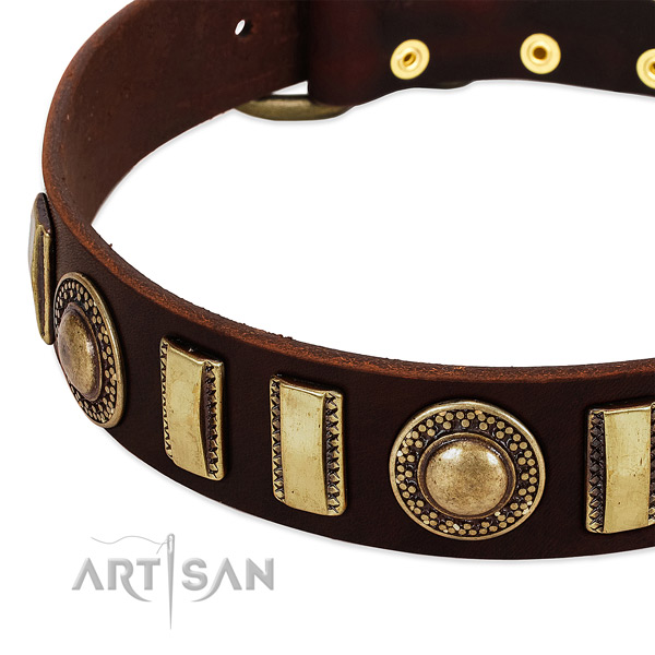 Durable full grain genuine leather dog collar with rust-proof fittings