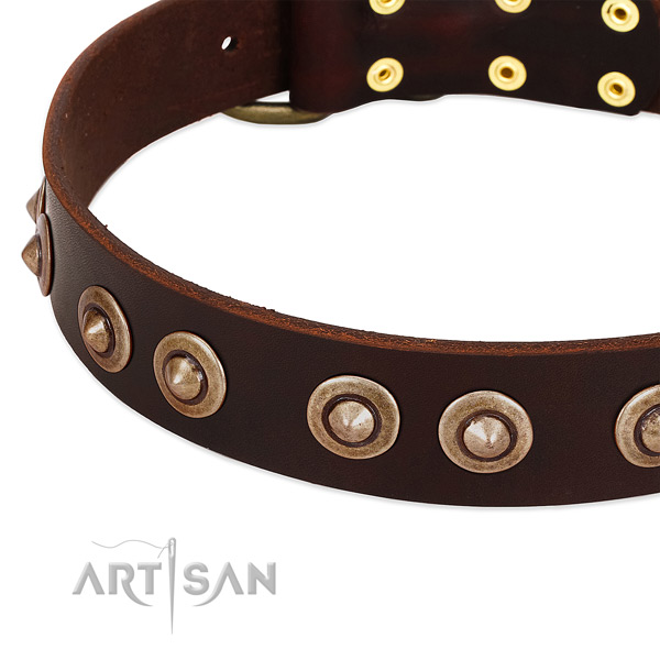 Rust-proof embellishments on full grain natural leather dog collar for your doggie