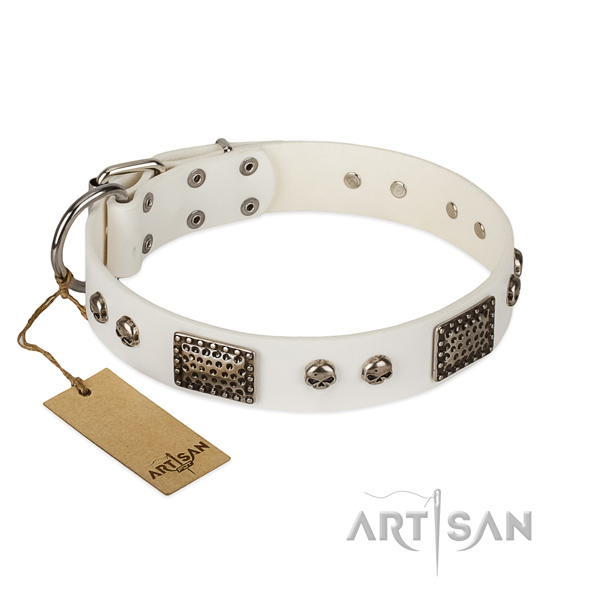 Adjustable full grain genuine leather dog collar for basic training your doggie
