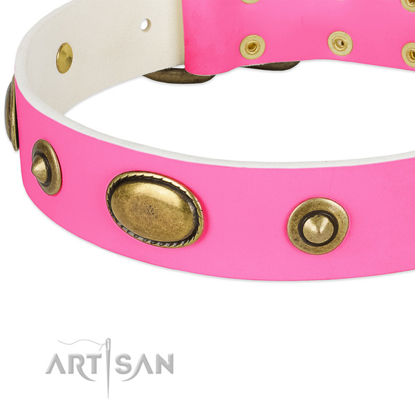 Reliable buckle on genuine leather dog collar for your pet