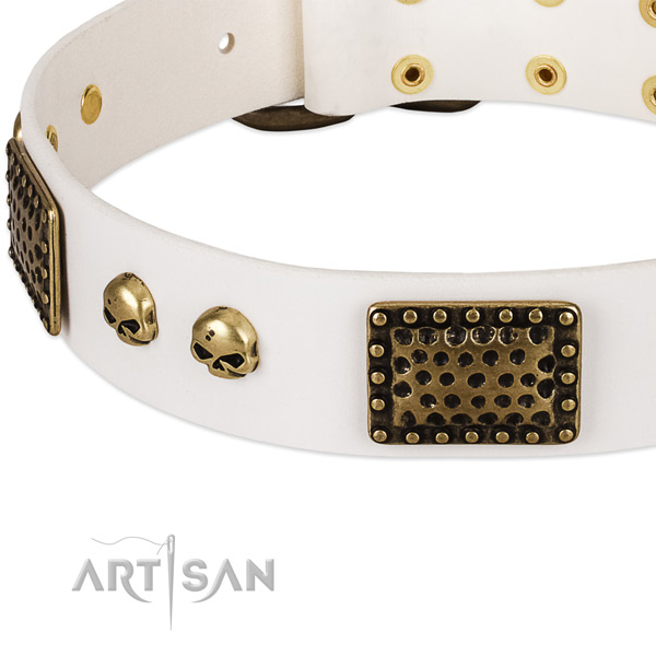 Corrosion resistant buckle on genuine leather dog collar for your pet