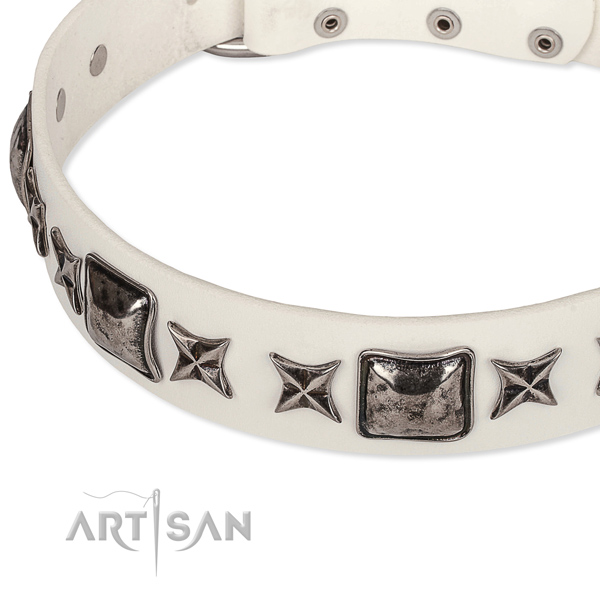 Walking decorated dog collar of top notch full grain natural leather