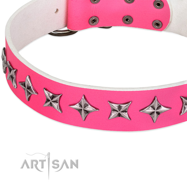 Comfortable wearing embellished dog collar of reliable full grain leather