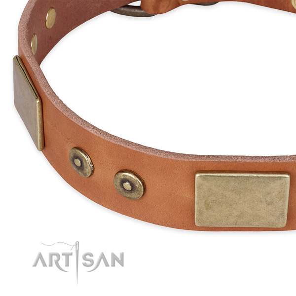 Corrosion proof hardware on full grain genuine leather dog collar for your four-legged friend