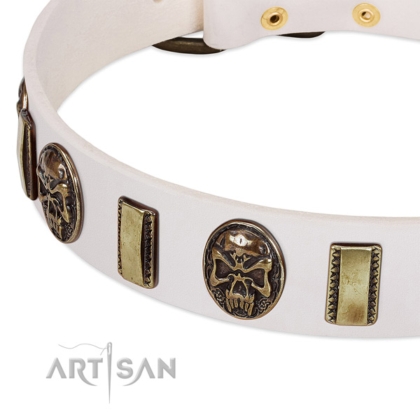 Durable traditional buckle on leather dog collar for your dog