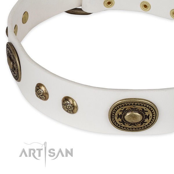 Remarkable genuine leather collar for your stylish canine