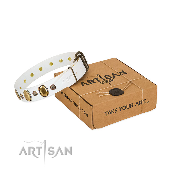 Daily use reliable genuine leather dog collar