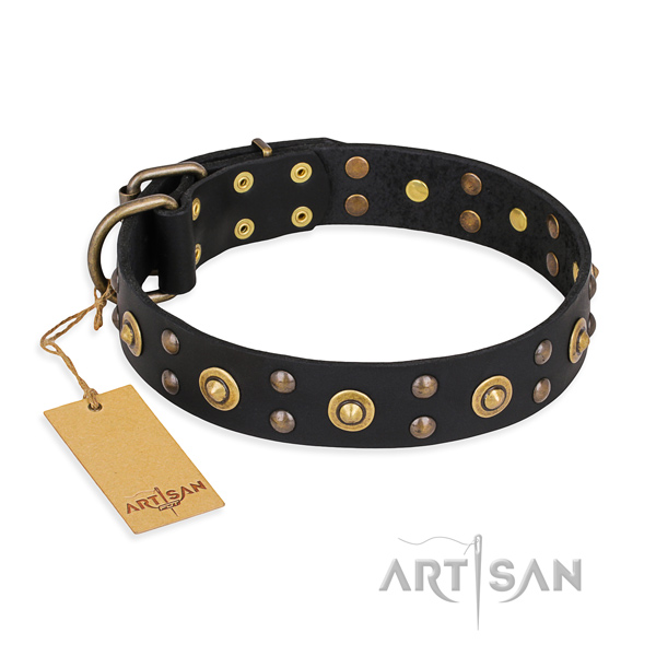 Everyday walking easy to adjust dog collar with rust-proof buckle