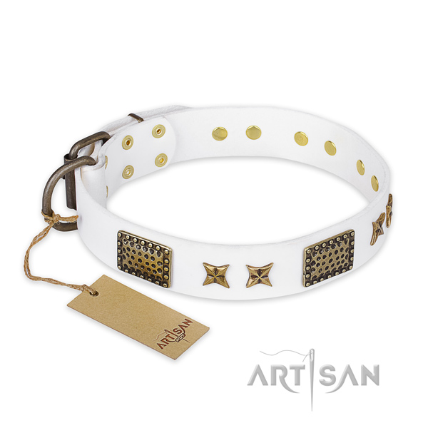Convenient full grain genuine leather dog collar with reliable buckle