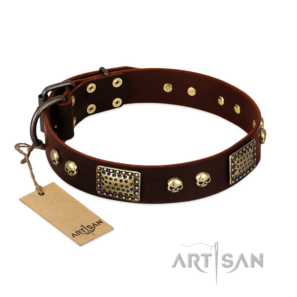 Easy adjustable genuine leather dog collar for stylish walking your pet