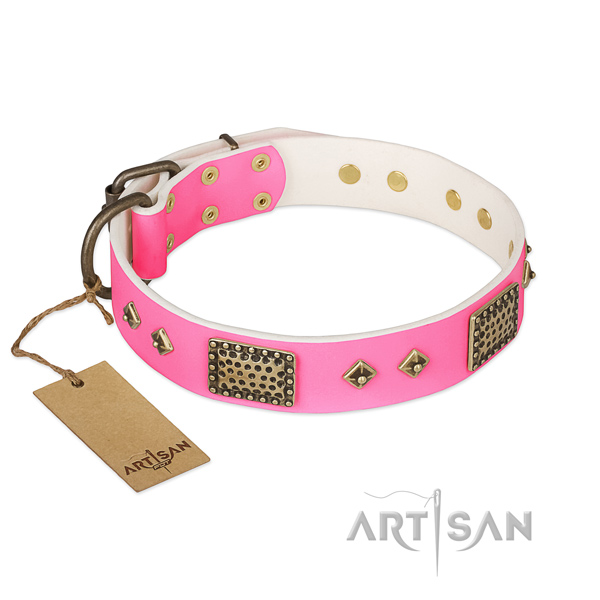 Easy to adjust genuine leather dog collar for everyday walking your canine