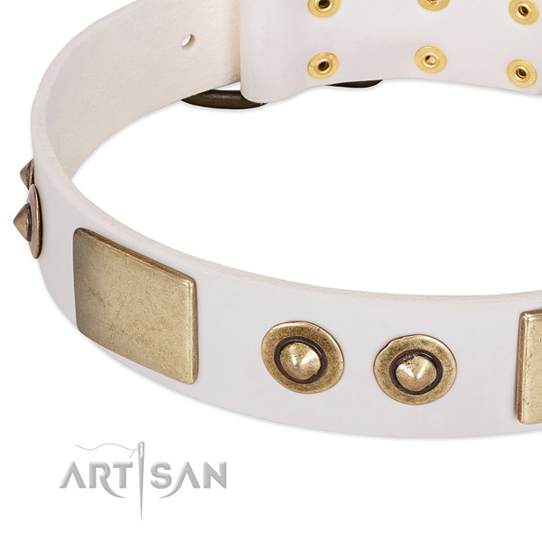 Corrosion resistant decorations on full grain genuine leather dog collar for your canine