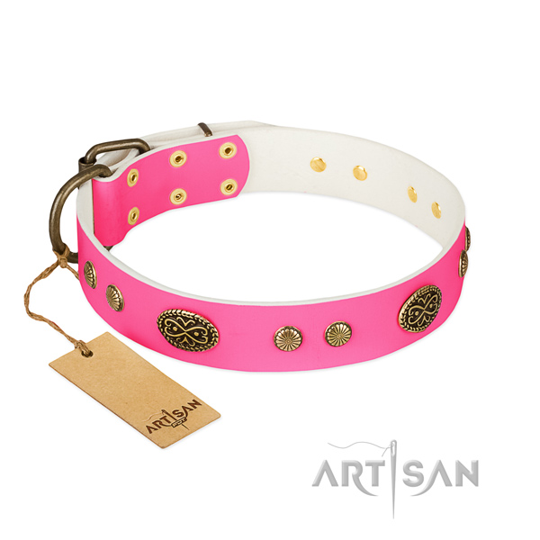 Corrosion proof studs on full grain leather dog collar for your pet