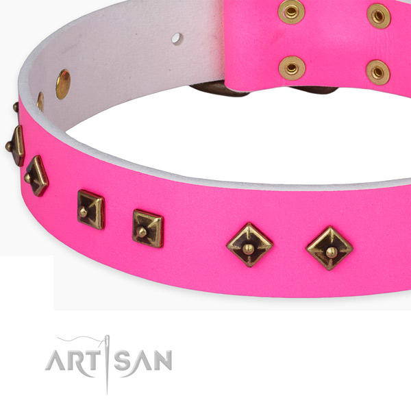 Top quality full grain natural leather collar for your beautiful dog