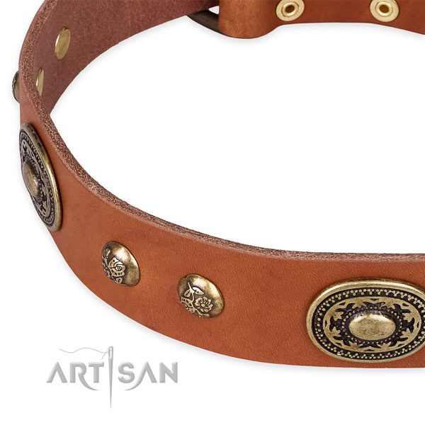 Convenient full grain leather collar for your beautiful dog