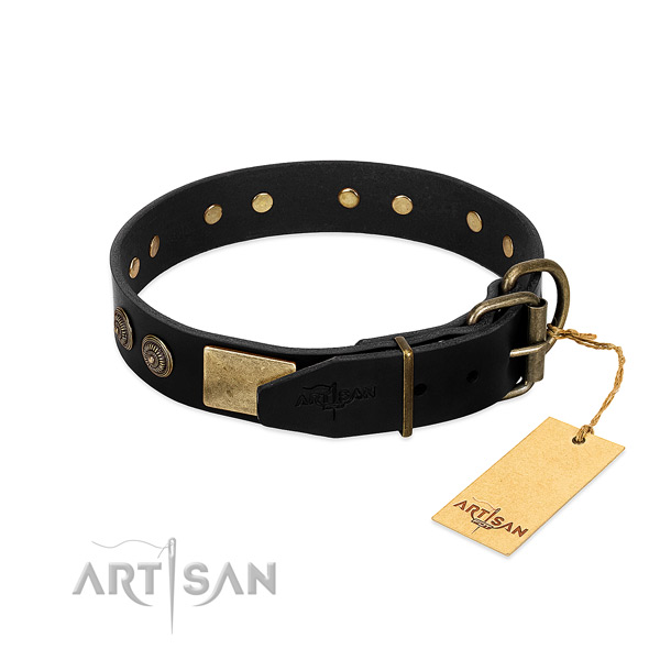 Strong studs on natural leather dog collar for your pet