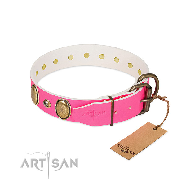 Fancy walking quality full grain genuine leather dog collar