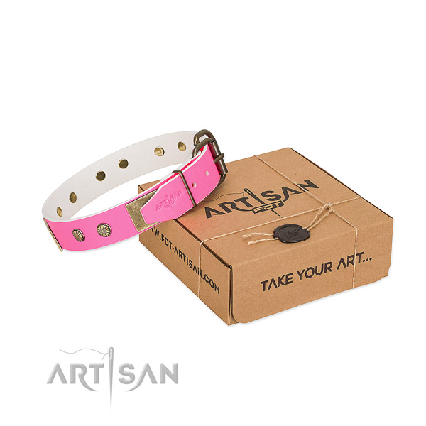 Reliable buckle on dog collar for handy use